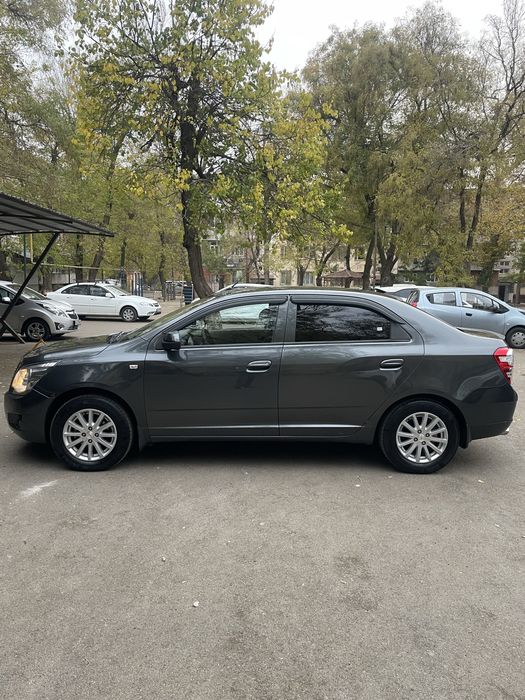 Cobalt 2020 4 pazitsa