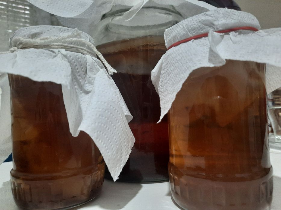 Kefir de apa, Kombucha, JUN- kit starter