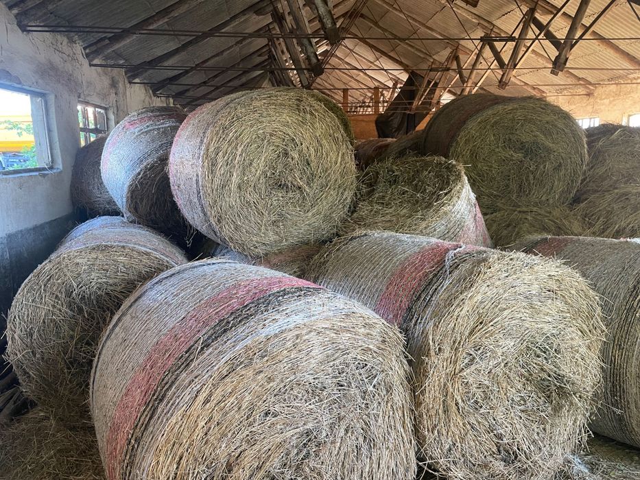 Vand Baloti Lucerna si Fan