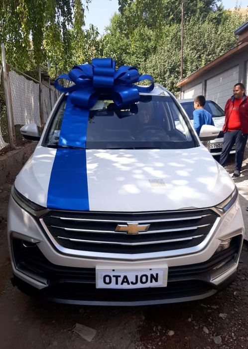 Bantik avtomabil uchun - бант - бантик для автомобилей всех марок