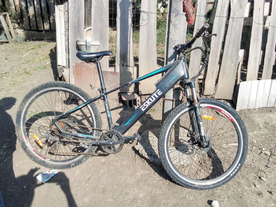 Bicicletă electrica