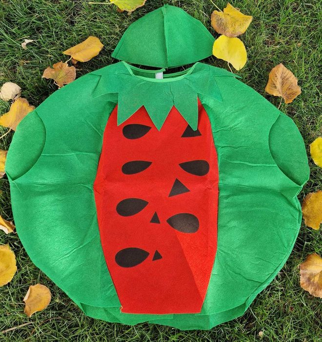 Pepene bostanlubenita costum festivalul toamne recoltei fructe legume