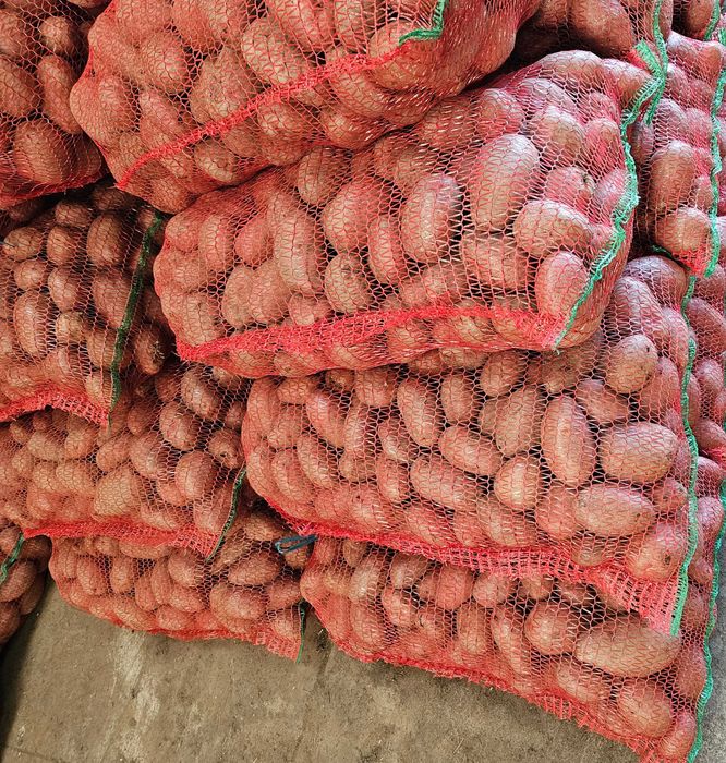 Cartofi samanta ESMME de calitatea I-a