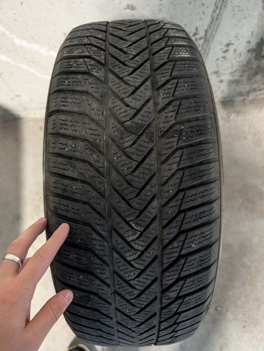 зимни гуми 215 55 R17, ESA Tecar, прочетете рекламата