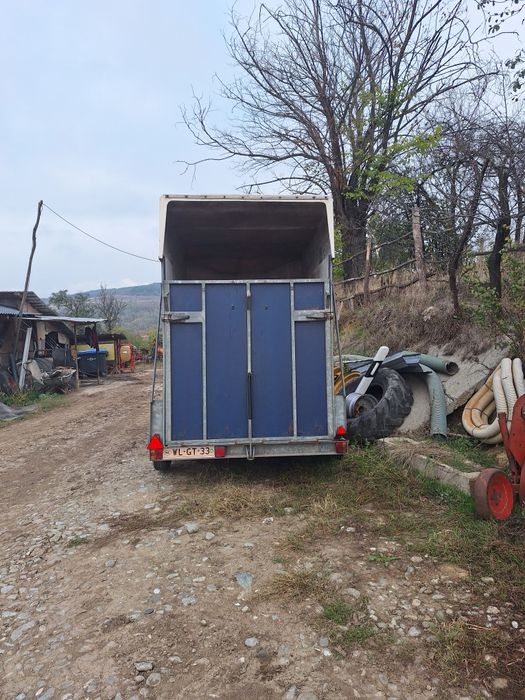 Remorca transport animale 1.5t