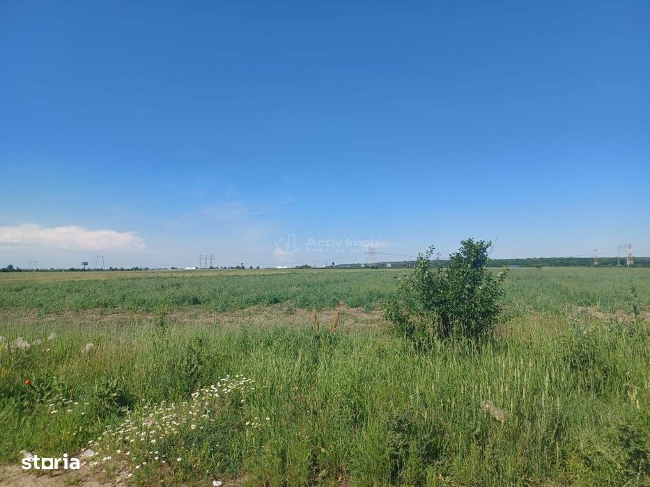 Vanzare Teren Ciorogarla- Strada Viitorului