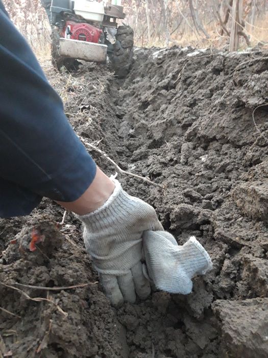 Асака бойлаб  Мотоблокда  Омоч блан  кичик йерларгахам кирамиз 50.минг