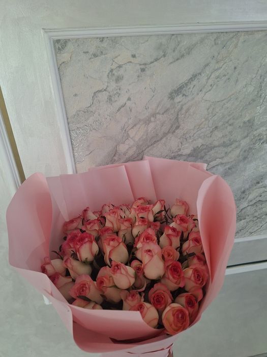 Продам розы 51шт