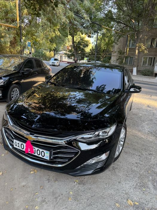 Malibu primer 2022