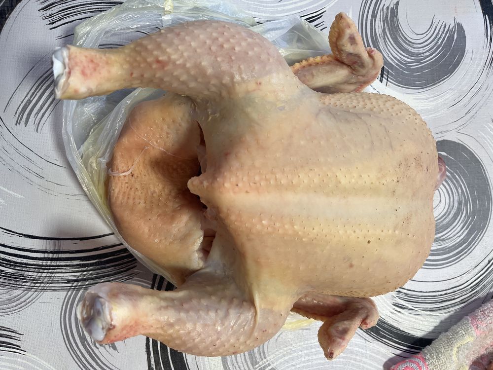 Pui de carne de vanzare