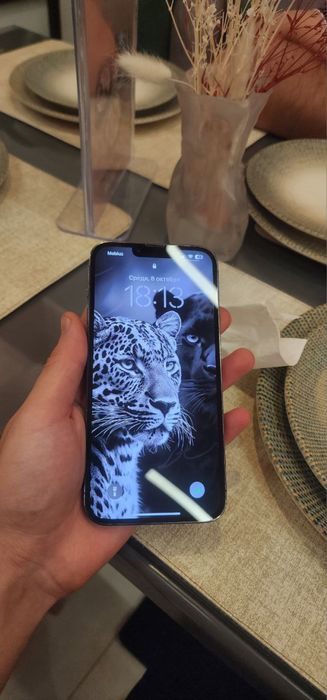 iPhone 13 pro max