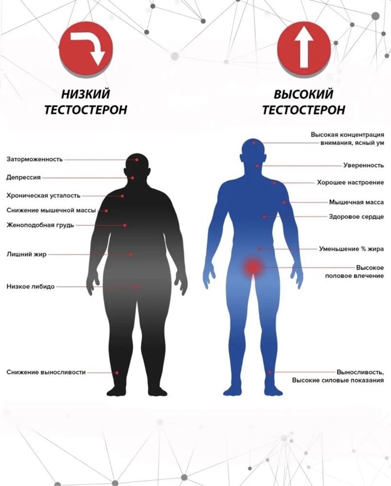 Препарат для выработки тестостерона Testosteron Up