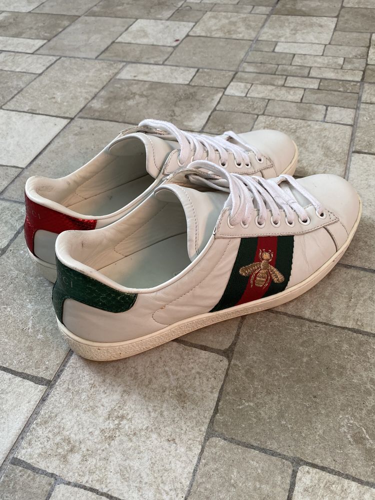 Sneakersi  Gucci Ace