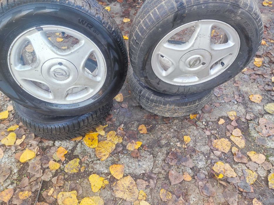 roti iarna 195/65R15