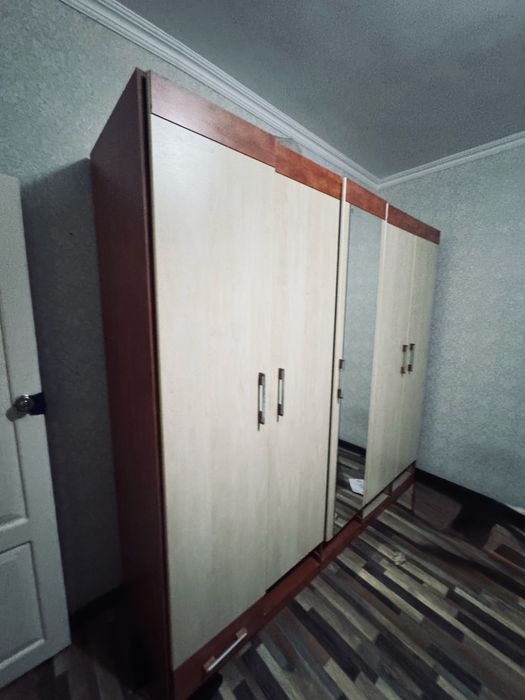 Шкаф-купе, с зеркальной дверью