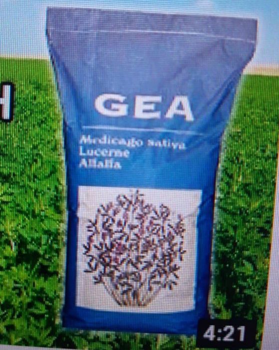 Джеа жонышка люцерны