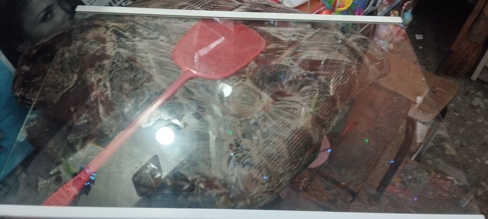 Продам полки для холодильника