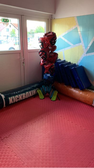 Curs arte martiale Adulti si Copii