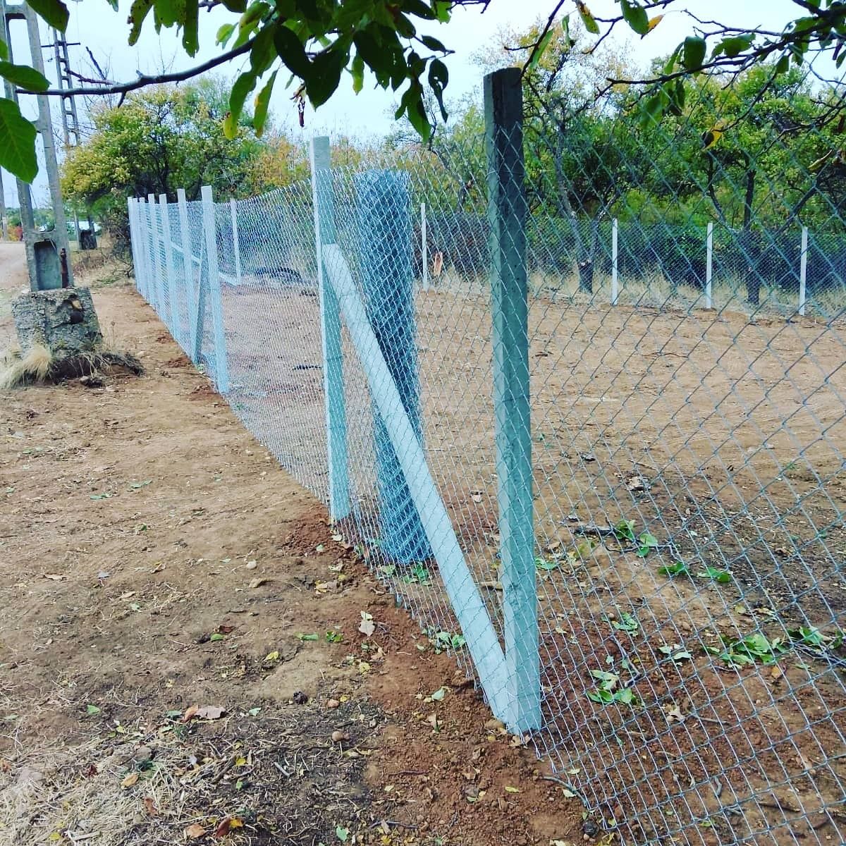 Înființări plantații la cheie, defrișări plantații, reconversie. ZMD