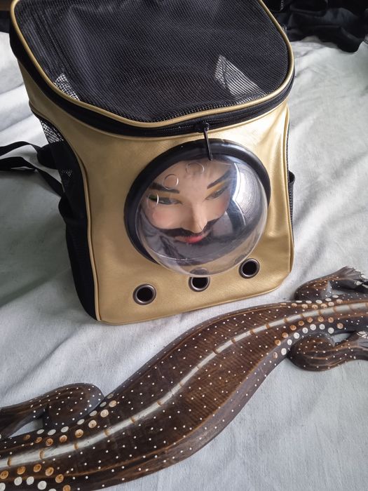 Сумка рюкзакфирменная золотая для транспортировки животных кошек собак