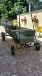 Vand carut ponei