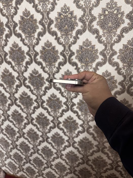 Phone 15 Pro Max 256/84 радной