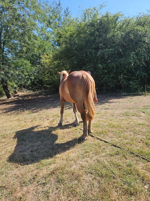 Iapa grea 2 ani si 8 luni