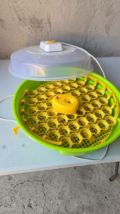 incubator pentru ouă