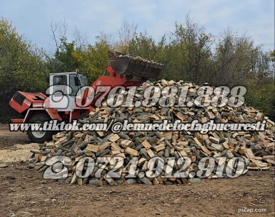 Lemne de foc fag taiate si crapate pentru foc , vrac sau la BigBag .