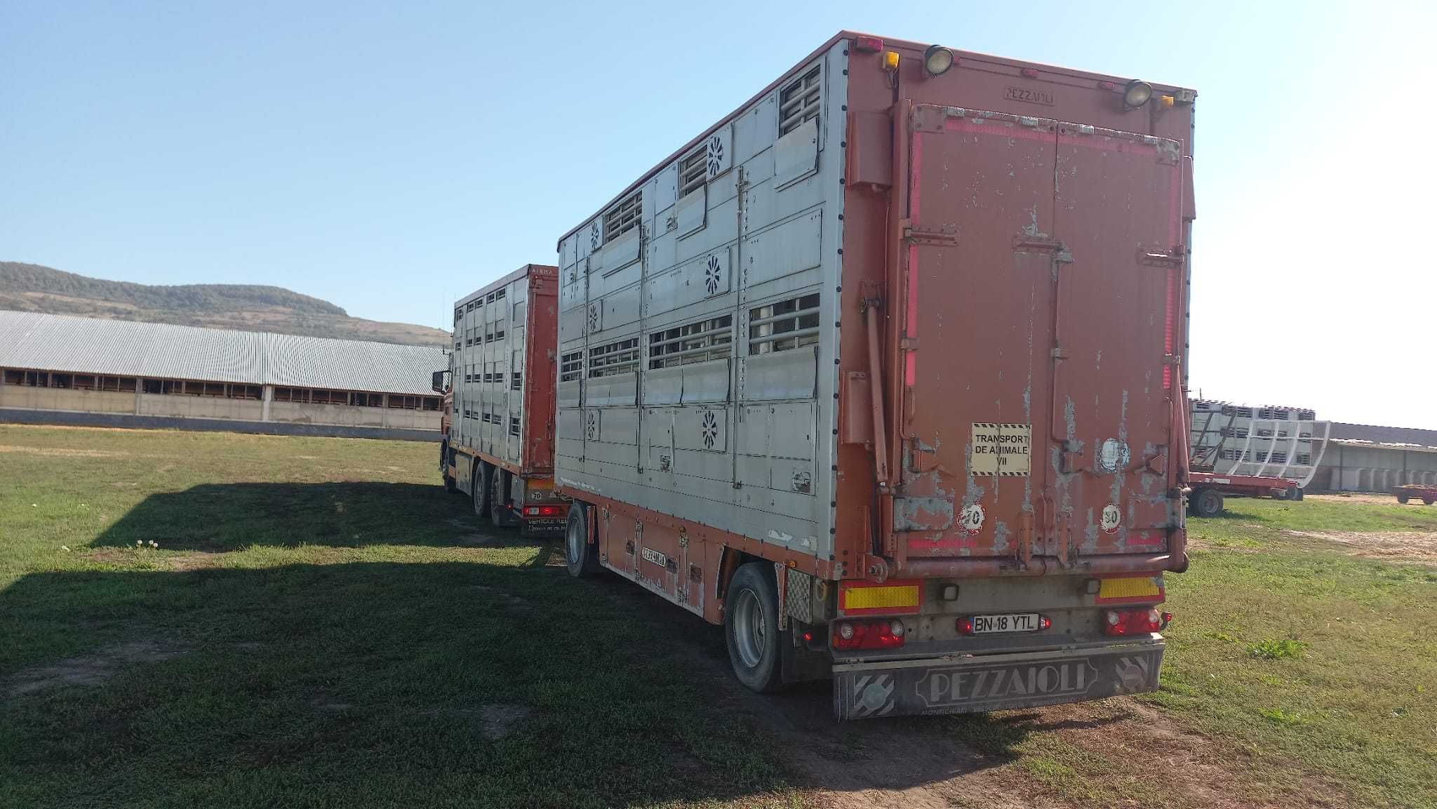 Ansamblu Camion Scania+remorca specializat transport animale