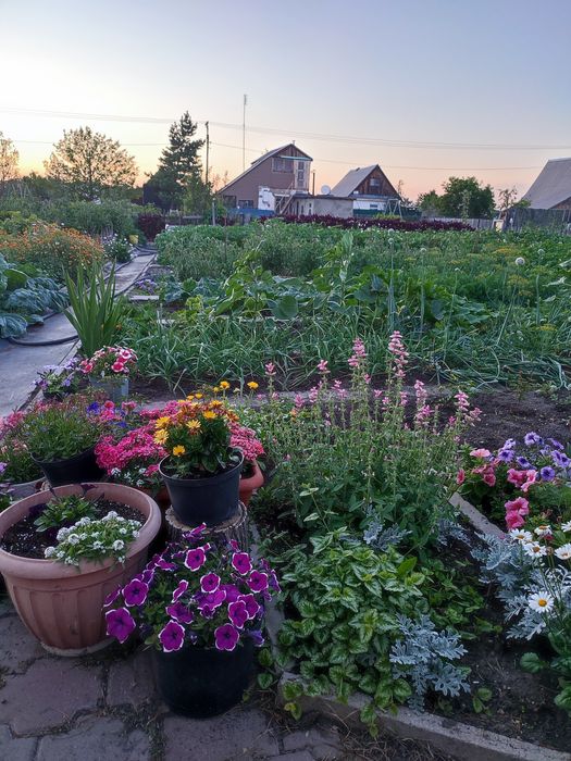 Продаю дачу на Федоровке