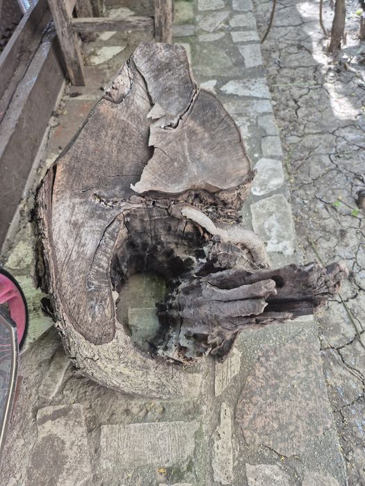 Buturuga din lemn de nuc