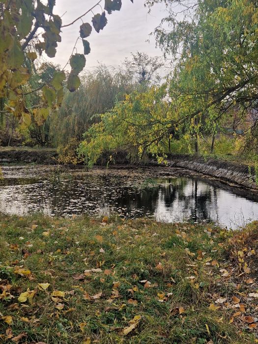 Teren intravilan 2875 mp Barnova