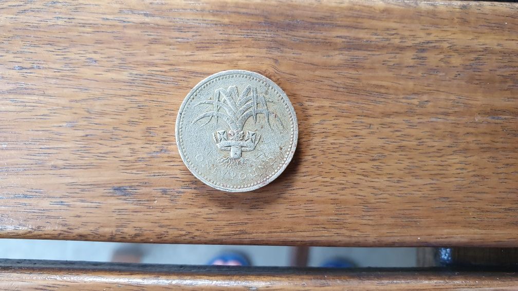 Moneda One Pound 1990 SILVER ( argint)o lira sterlina