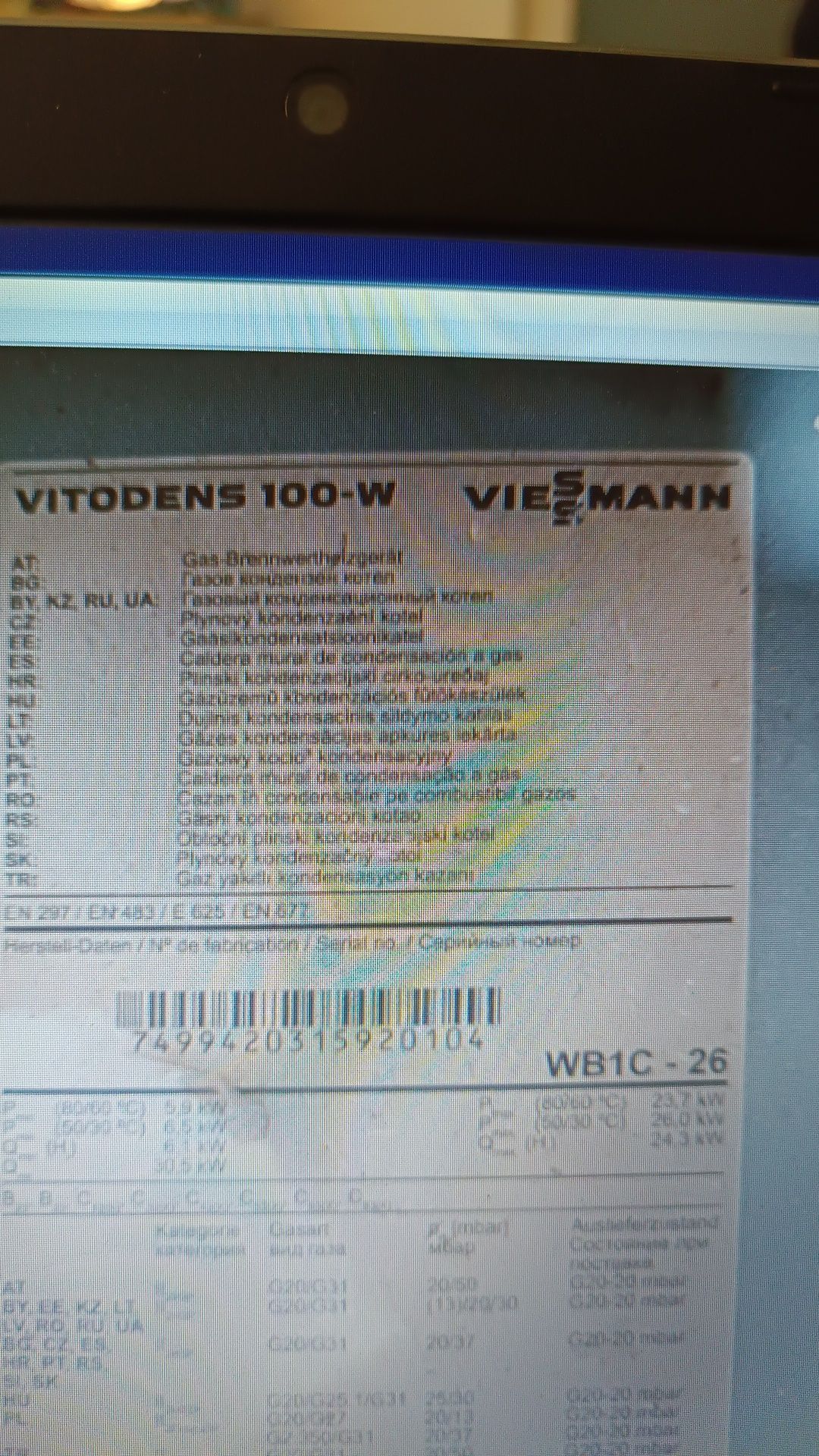 Viessmann Vitodens 100w