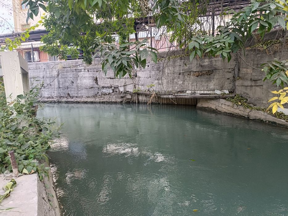 Сдается кафе сомса на метро Хамза