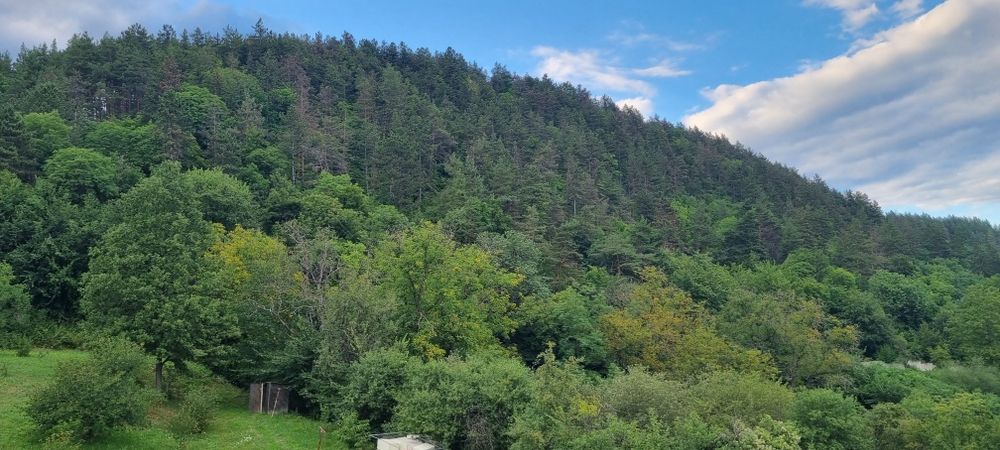 Ofer spre vânzare casă nouă în construcție, cu grădină Tg.Ocna