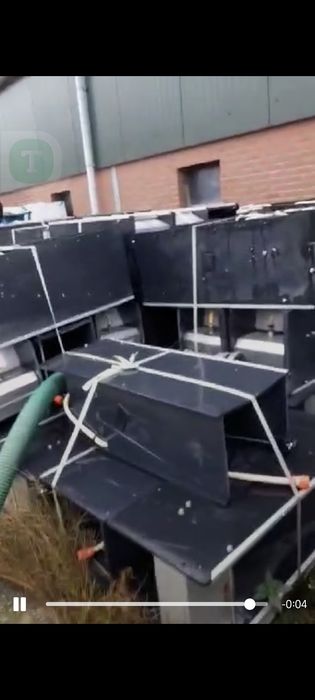 Hranitori porci mari