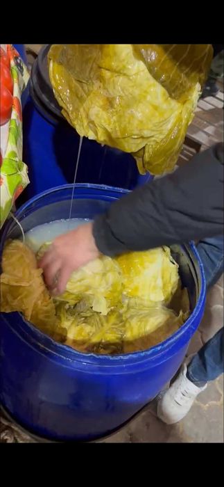 Varza murata pret 5 lei angro