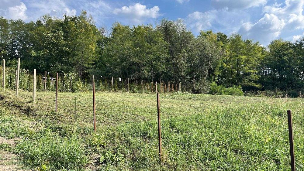 Teren intravilan langa padure (683 mp)