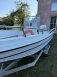 barcă + remorcă + motor Selva Marine Dorado 40XS EFI