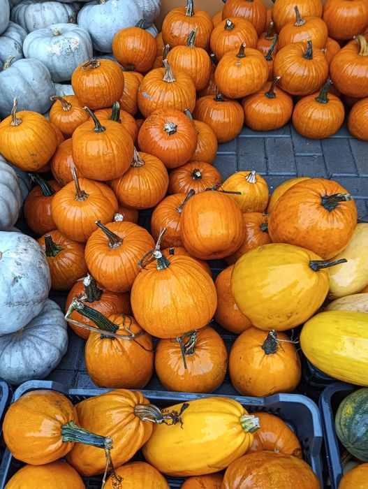 Bostani/dovleac pentru Halloween