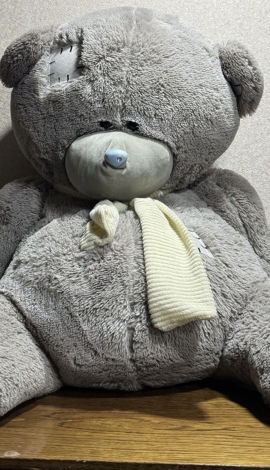 Teddy bear, Теди Мишка, Tediy Ayiq