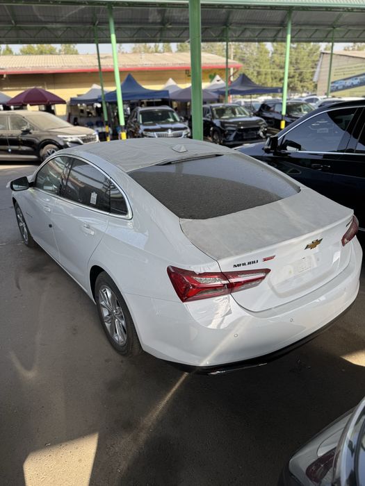 Malibu premier 2022 masla