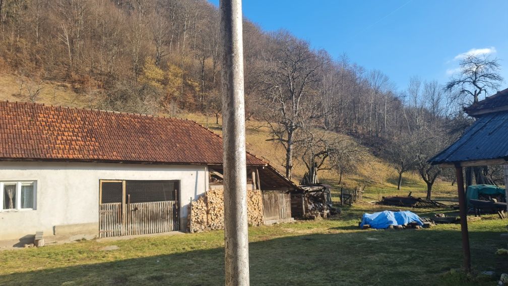 Vand casa in satul Lazuri