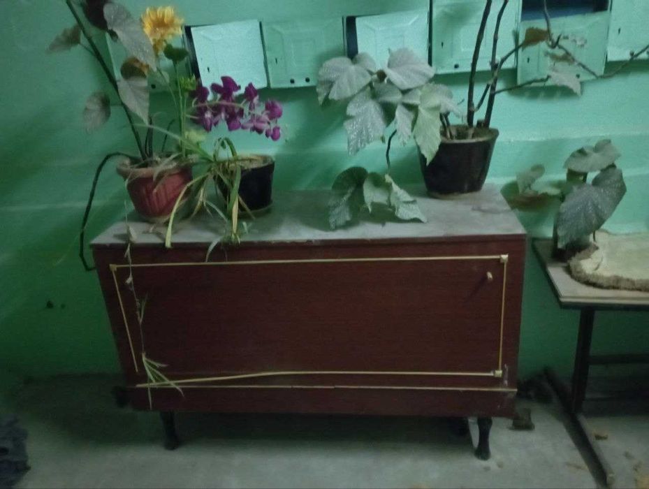 Отдается бесплатно ящик для белья, дверные коробки