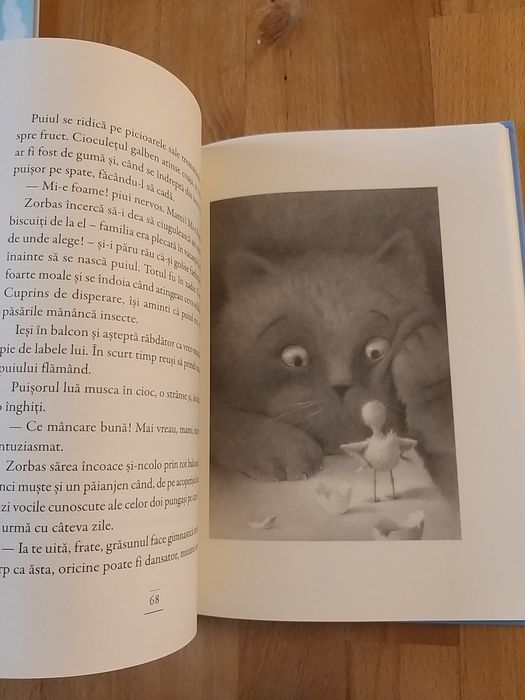,,Povestea unei pescărușe și a motanului care a învățat-o să zboare"