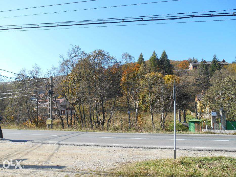 teren cheia superb -variante-schimb-asociere