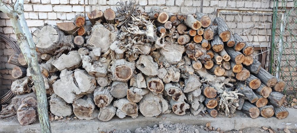 Қуруқ ўтин, Сухая дрова