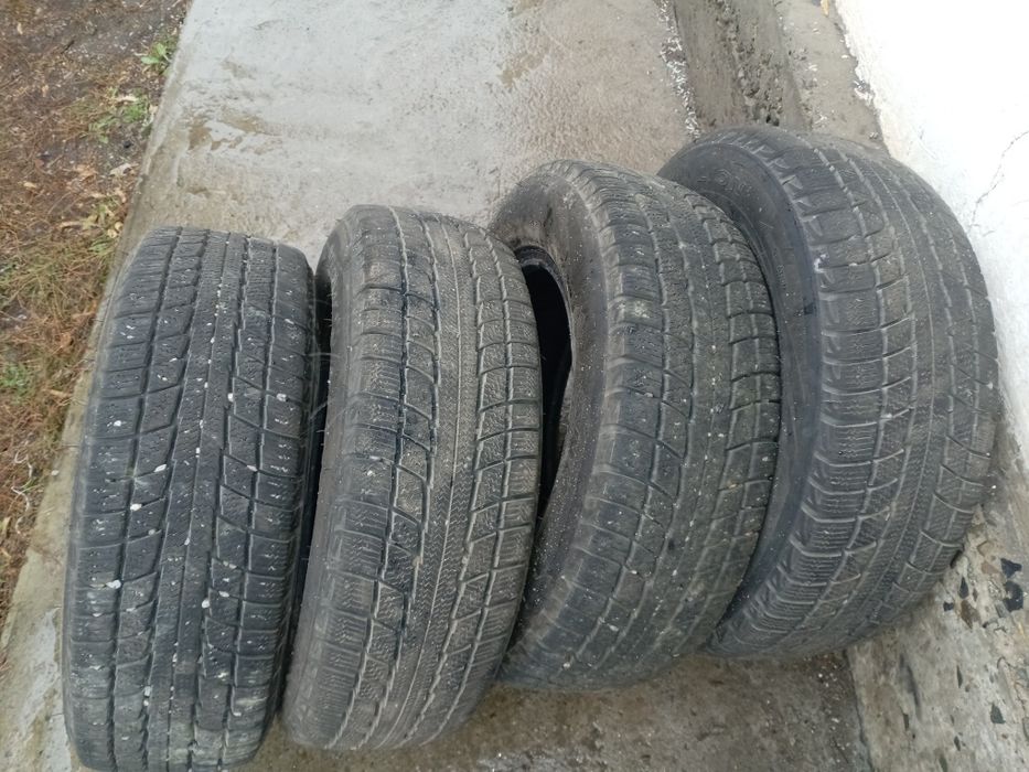 Продам шины зимние triangle  комплект